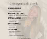 O Teu Ebook do Sucesso - Image 2